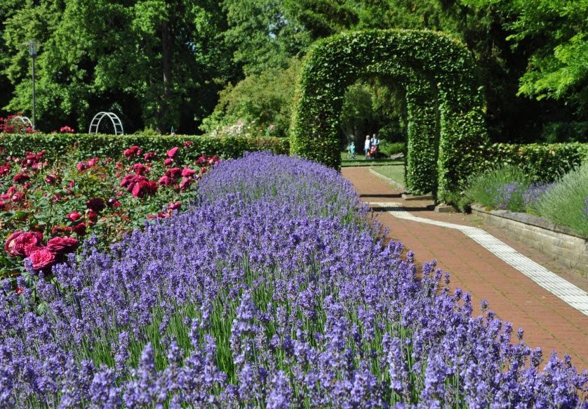 Grugapark Essen, Germany